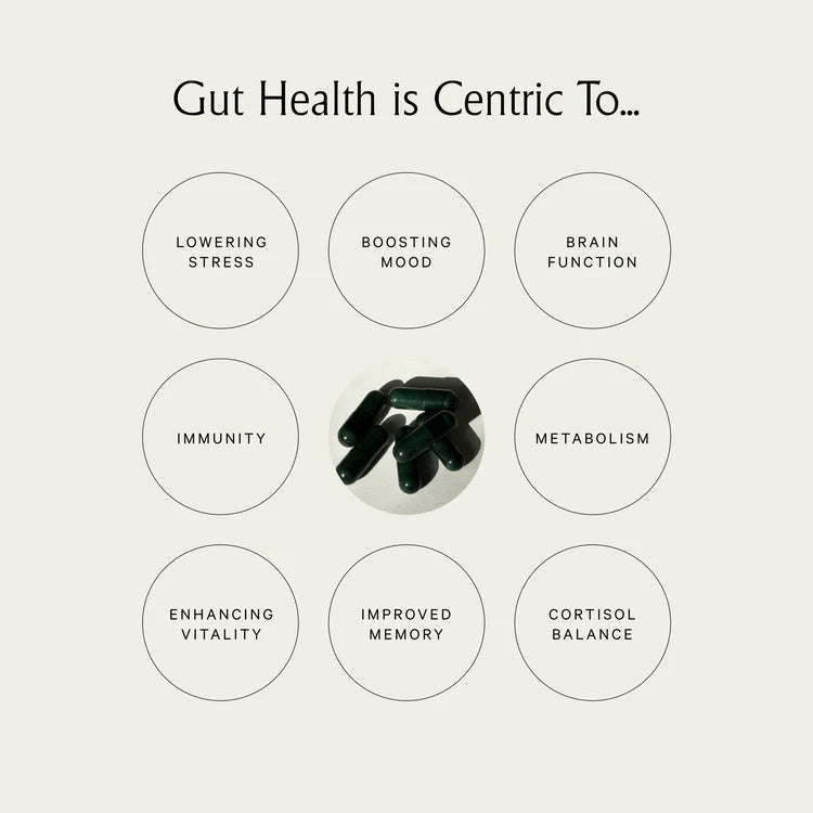 Gut Therapy for Metabolism and Mood