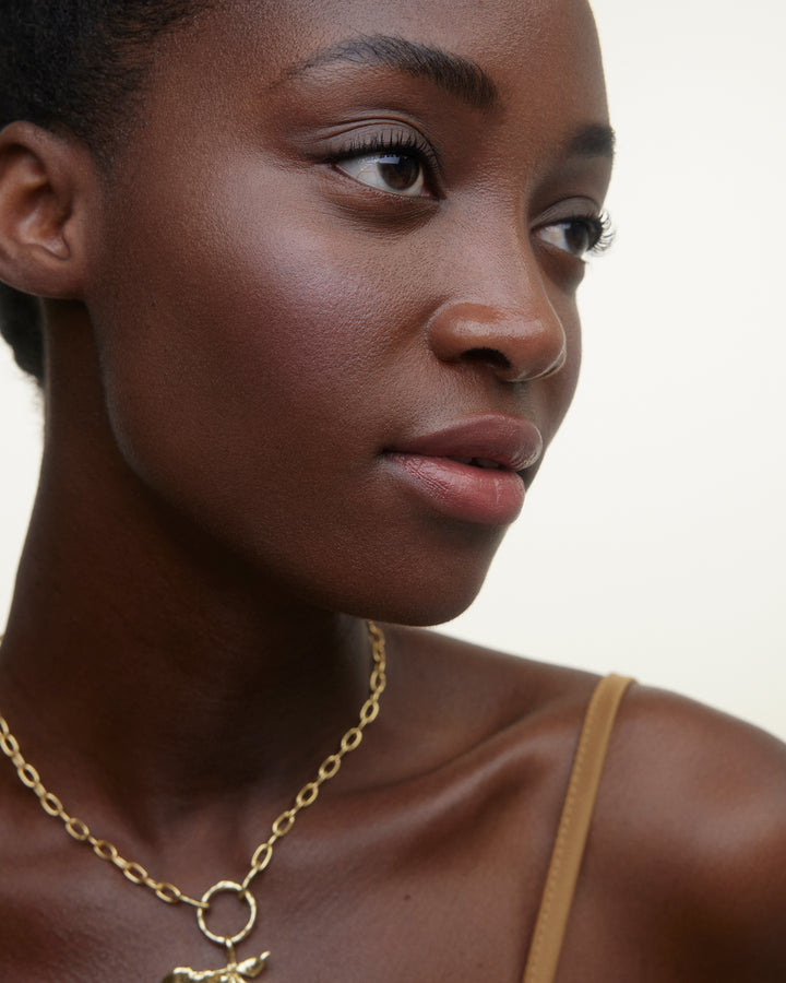 Le Fard Blush