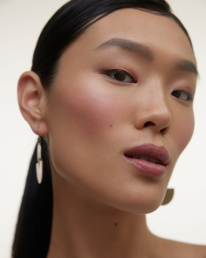 Le Fard Blush