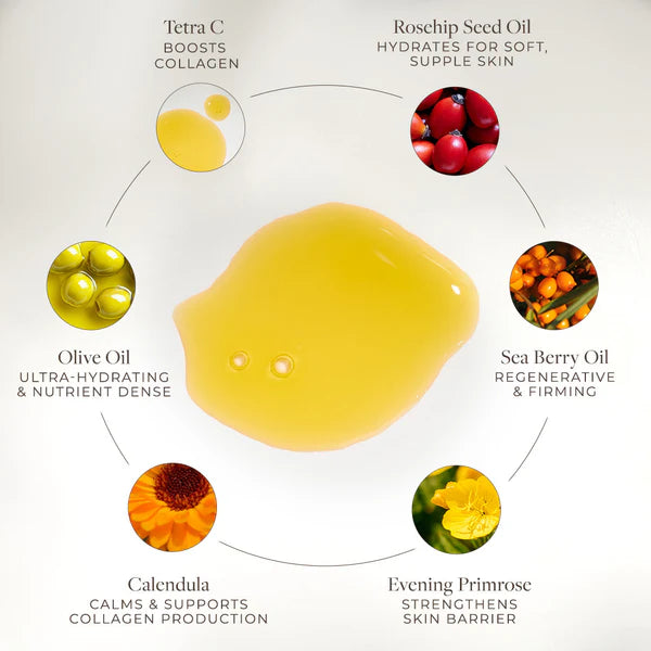 NEW - Vitamin C Body Oil - Rose & Amyris