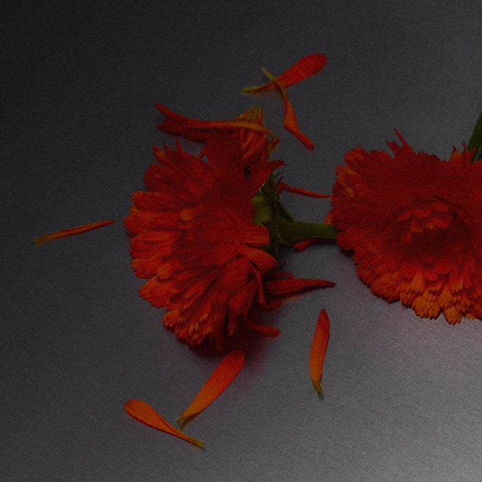 SCENE 02 - Room Spray