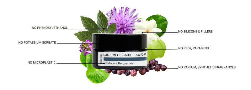 EXOSOMES | Exo Timeless Night Comfort