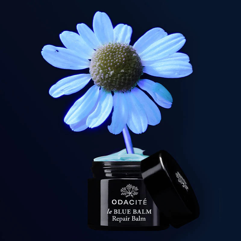 LE BLUE BALM  Blue Chamomile + Shea Butter  REPAIR BALM