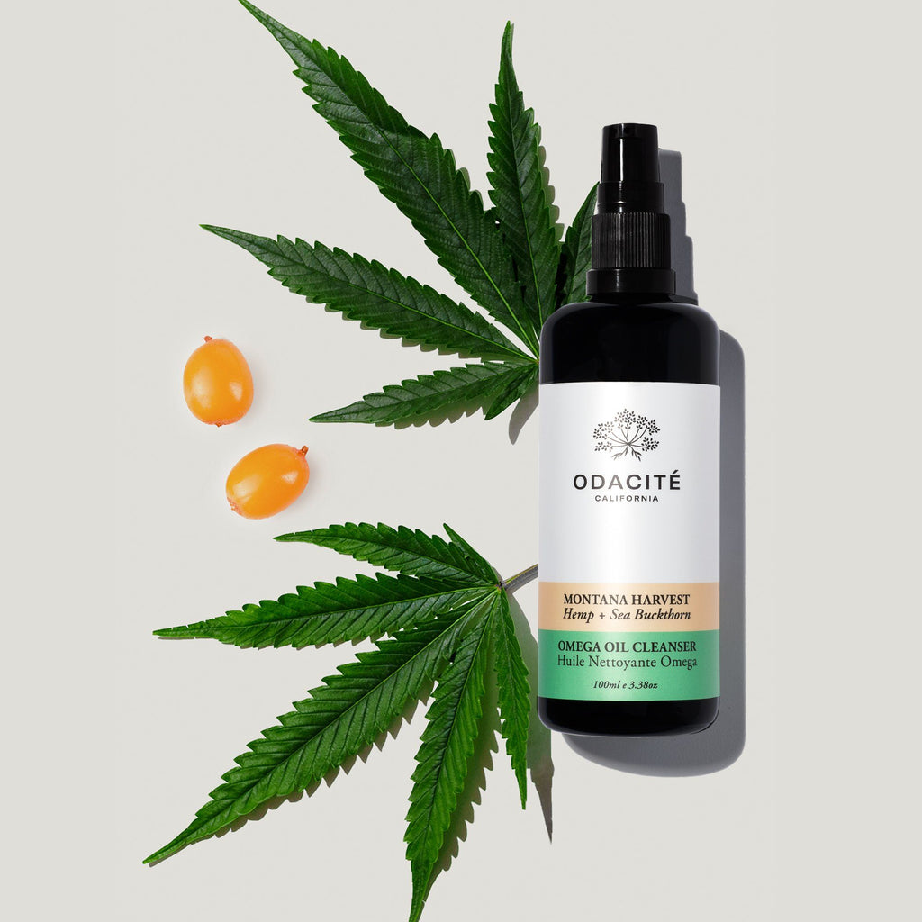 MONTANA HARVEST  Hemp + Sea Buckthorn  OMEGA OIL CLEANSER