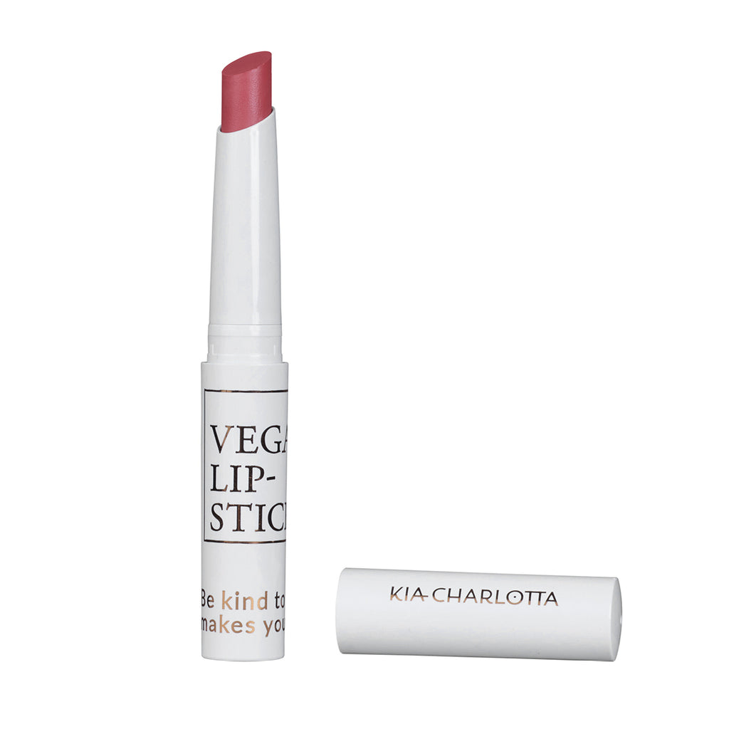 PROBLEM SOLVER  vegan lipstick